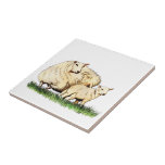 two sheep animal tile