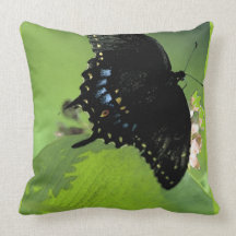 Two Sided Black Swallowtail Butterfly Pillow