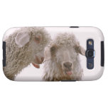 Two Silly Goats
