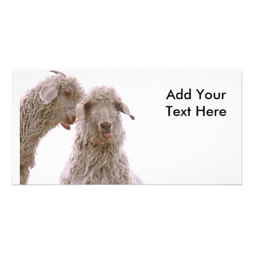 Two Silly Goats Customized Photo Card