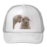 Two Silly Goats Mesh Hat