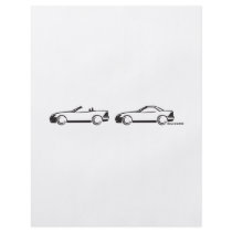 Two SLKs Custom Flyer