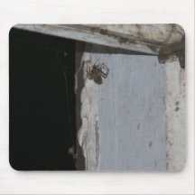 Two Spiders Mousepad