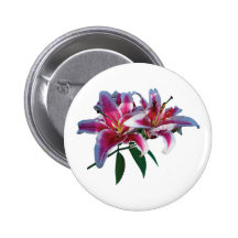 Two Stargazer Lilies in Sunshine Button