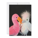 Two Stuffed Plush Bird Invitation