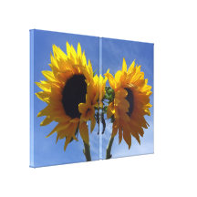 Two Sunflowers 2-Panel Wrapped Canvas Stretched Canvas Print