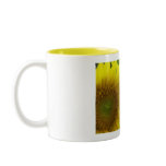 Two Suns mugs