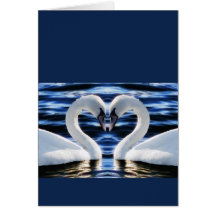 Two swans card