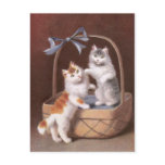 Two Tabby Cats in a Basket -- Vintage 1908 postcards
