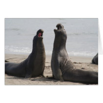 Two Tenors Greeting Cards