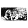 Two Tigers in Black and White Customized Photo Card