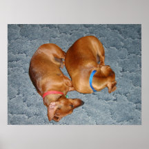 Two Tired Posters