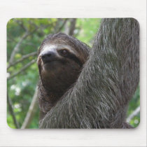 Two Toed Sloth Mouse Pad