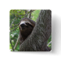 Two Toed Sloth Square Pin