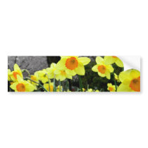 Two Tone Bumper Sticker