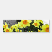 Two Tone Bumper Sticker