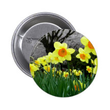 Two Tone Buttons