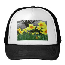 Two Tone Trucker Hat