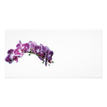 Two-Toned Magenta Orchid Photo Card