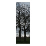 Two Trees in Nature Bookmark Cards business cards