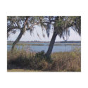 TWO TREES ON THE RIVER postcards