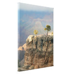 Two Trees Stretched Canvas Print