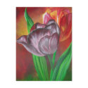 Two Tulips postcards