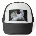 Two Turkey's Duking It Out Men's Hat