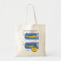 Two Views of Cochlea Mechanics Inner Ear Tote Bags