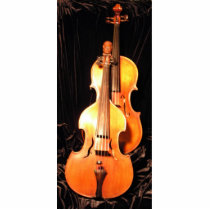 Two Violas by Leslie Harlow Photo Cut Outs
