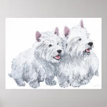 Two West Highland White Terriers Posters