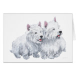 Two Westies Cards