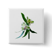 Two White Asiatic Lilies