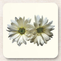 Two White Daisies Drink Coasters