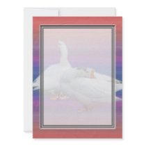 two white geese in fancy background personalized announcement
