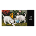 Two White Kittens spilling milk photo cards
