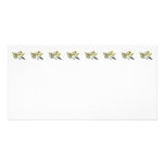 Two White Lilies and Buds photo cards