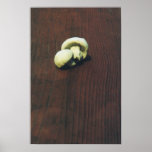 Two Wild Mushrooms posters