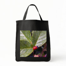 Two Years Old Ladybug Bag