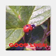 Two Years Old Ladybug Magnet