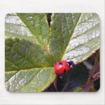 Two Years Old Ladybug Mousepad