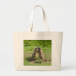 two young marmots bag