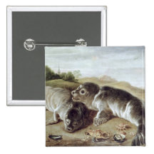 Two Young Seals on the Shore, c.1650 Buttons