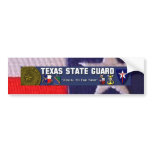 TX flag square, TXSG License plt full bumper stickers