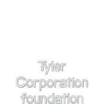 Tyler Corporation foundation Embroidered Hoodie