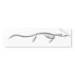 Tylosaurus Skeleton bumper stickers