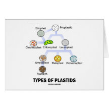 Types Of Plastids Cards