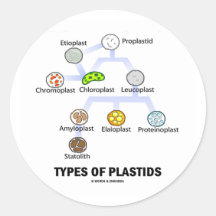 Types Of Plastids Round Sticker
