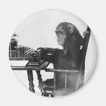 Typing Monkey Fridge Magnets