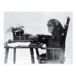 Typing Monkey Postcards